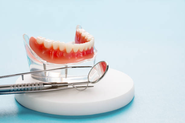 Buckley, WA Holistic Dental Care Services Company